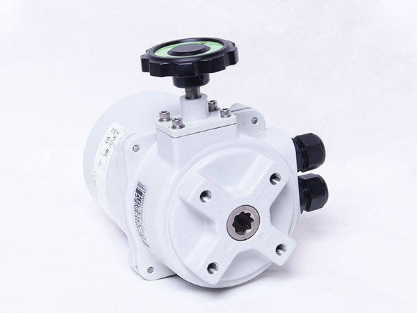 SQL321.jpg SQL321.jpg