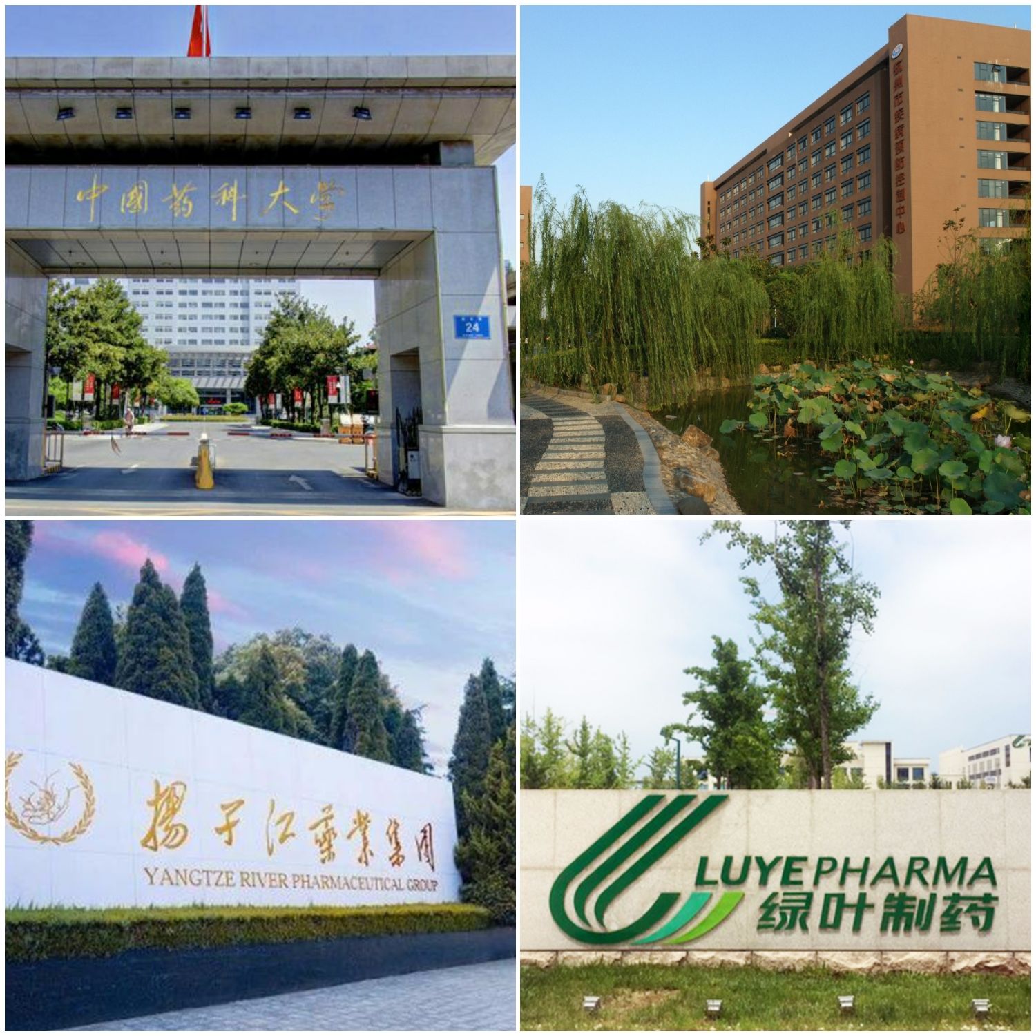 微信圖片_20220629143232.jpg 微信圖片_20220629143232.jpg